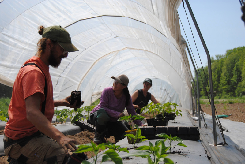 Équipe des Jardins de Tessa au travail