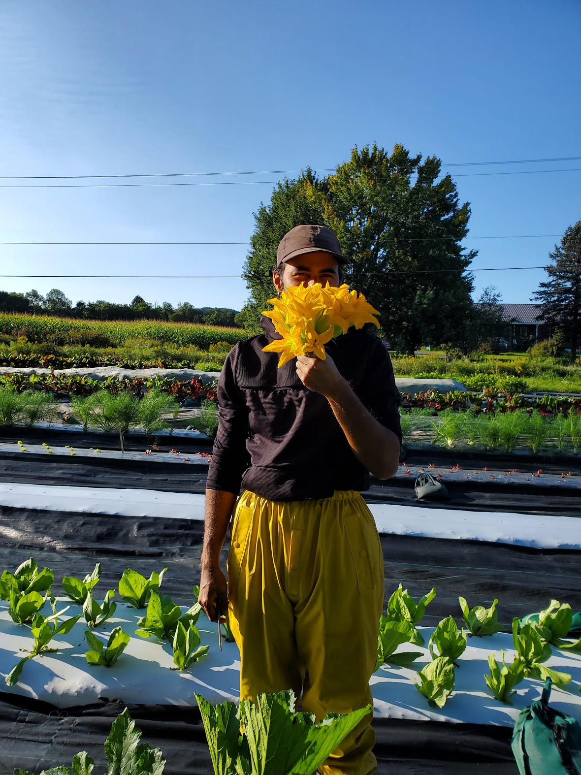 Employé dans le champ